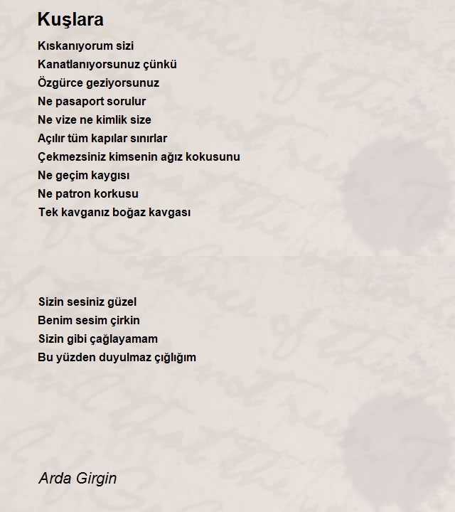 Arda Girgin