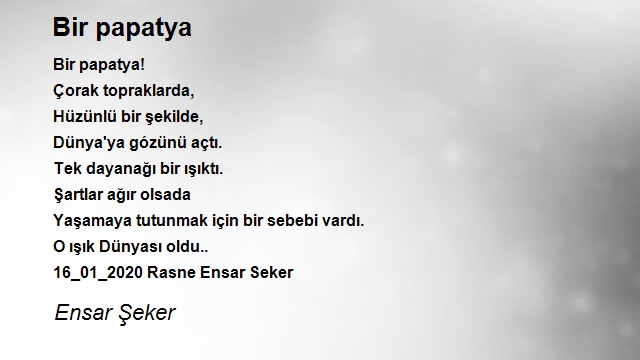 Ensar Şeker