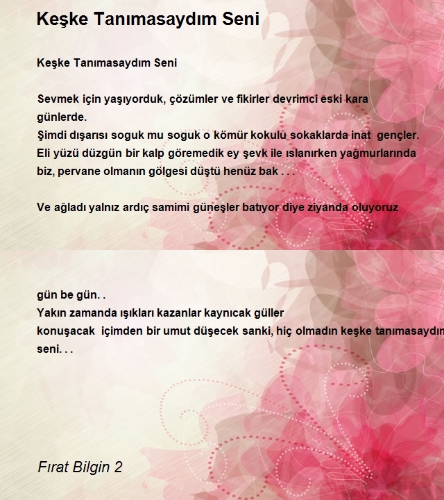 Fırat Bilgin 2