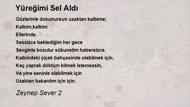 Zeynep Sever 2