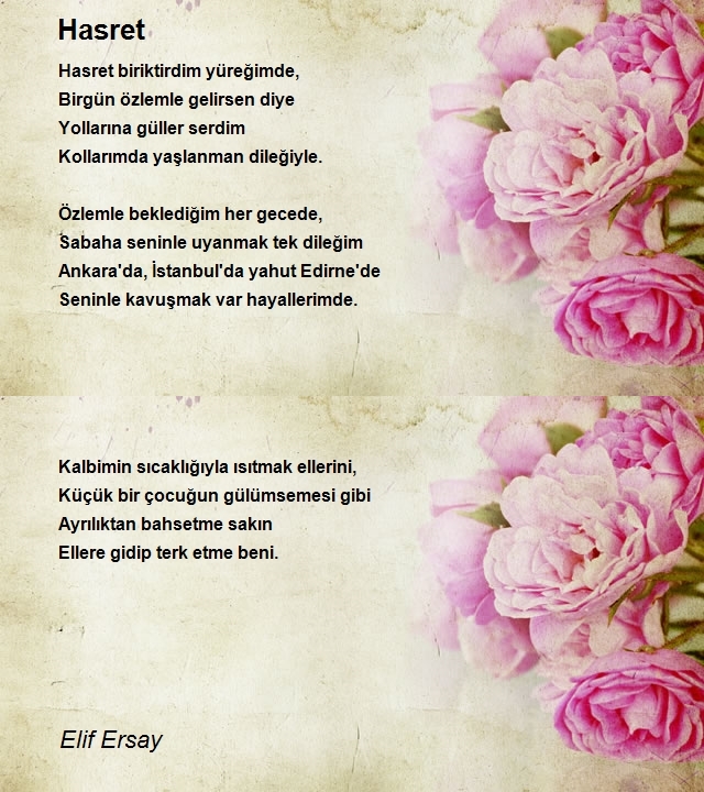 Elif Ersay