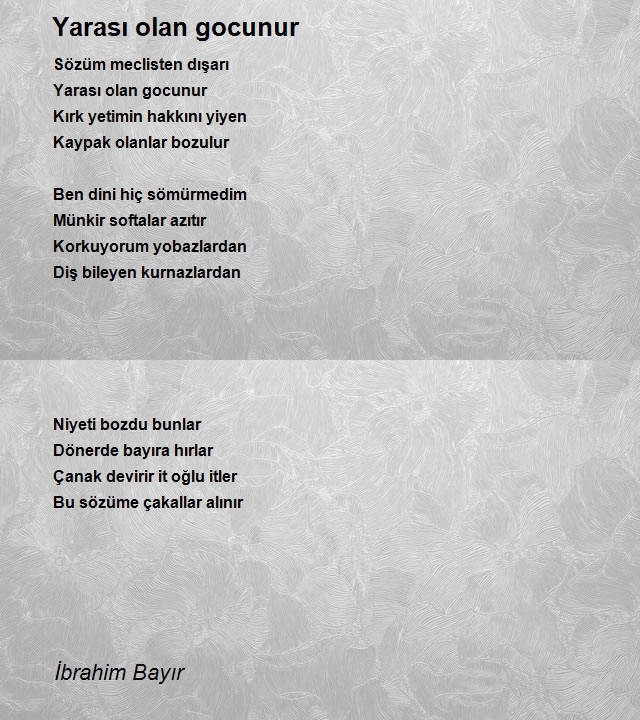 İbrahim Bayır