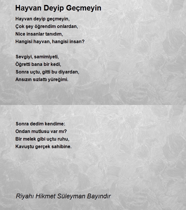 Riyahı Hikmet Süleyman Bayındır