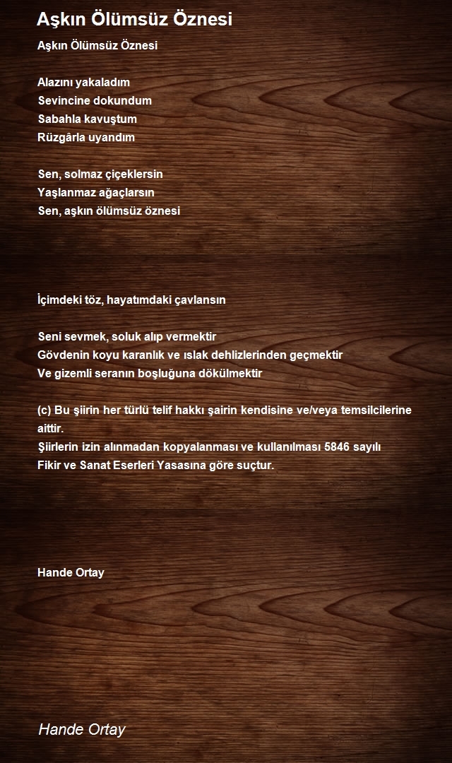 Hande Ortay