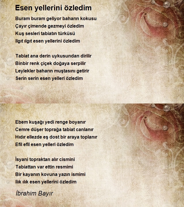 İbrahim Bayır