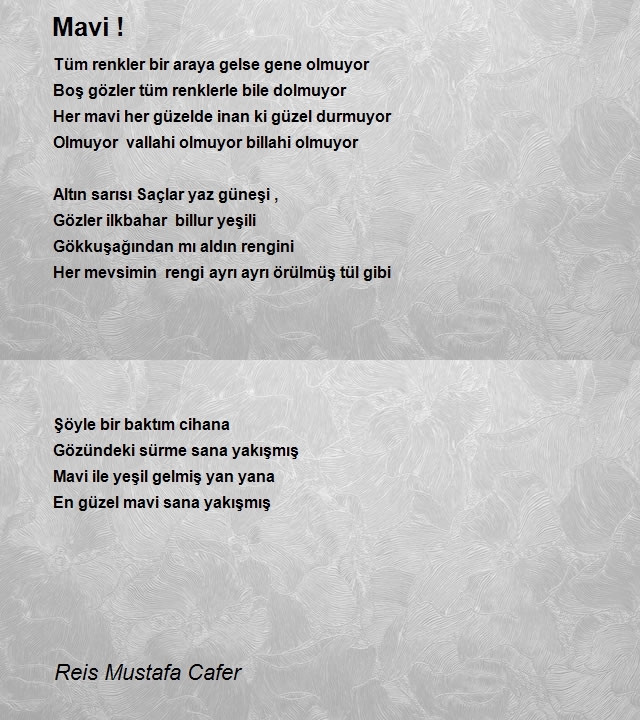 Reis Mustafa Cafer