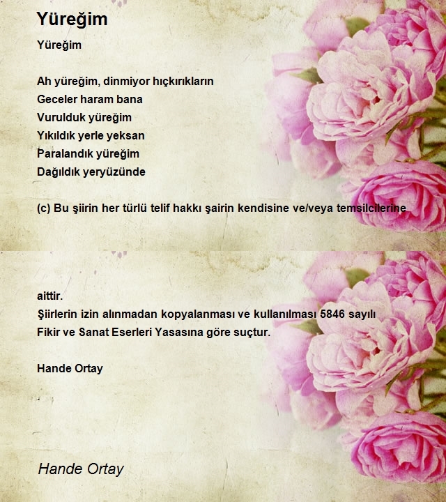 Hande Ortay