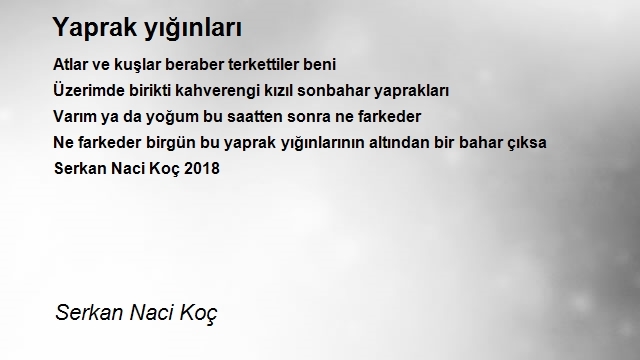 Serkan Naci Koç