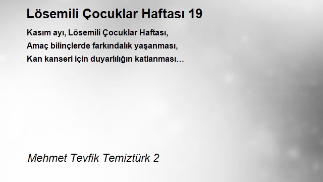 Mehmet Tevfik Temiztürk 2