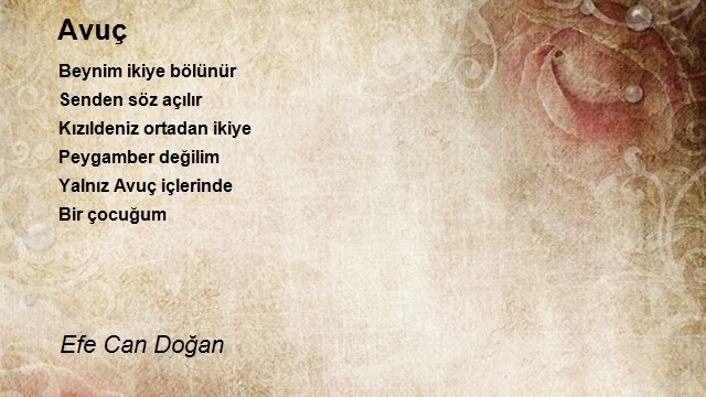 Efe Can Doğan