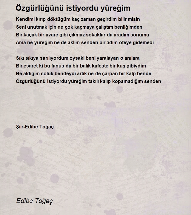 Edibe Toğaç