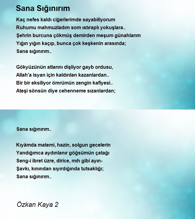 Özkan Kaya 2