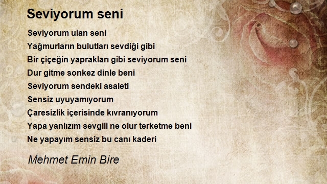 Mehmet Emin Bire