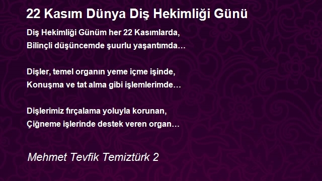 Mehmet Tevfik Temiztürk 2