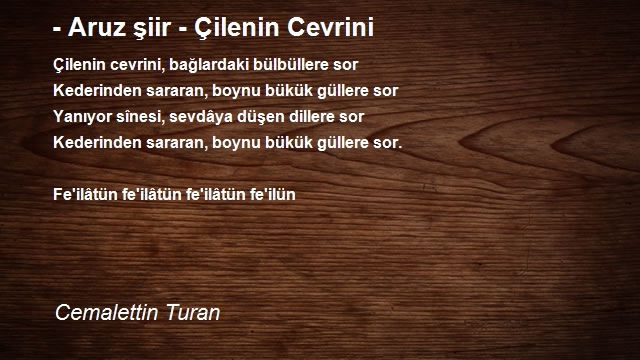 Cemalettin Turan