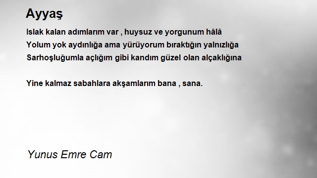 Yunus Emre Cam