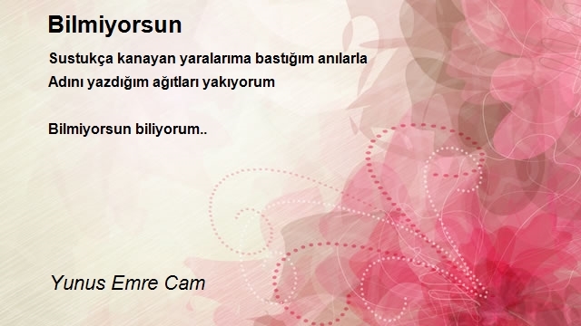 Yunus Emre Cam