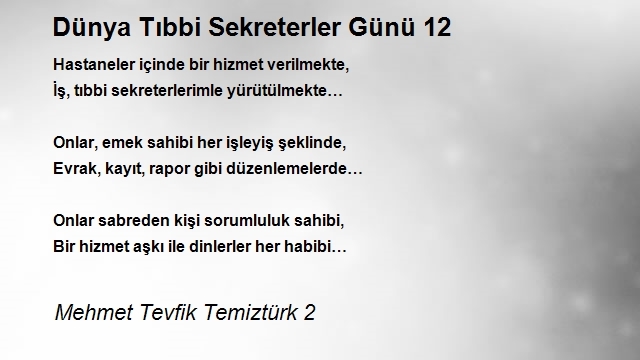 Mehmet Tevfik Temiztürk 2