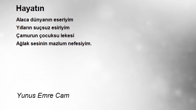 Yunus Emre Cam