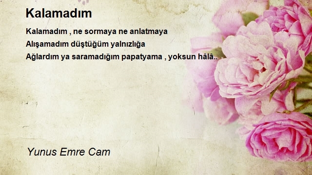 Yunus Emre Cam