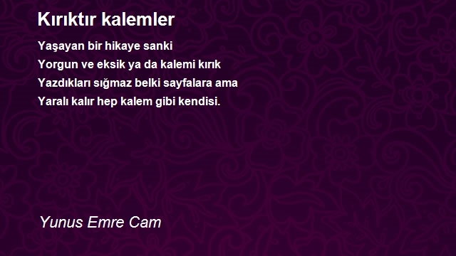 Yunus Emre Cam