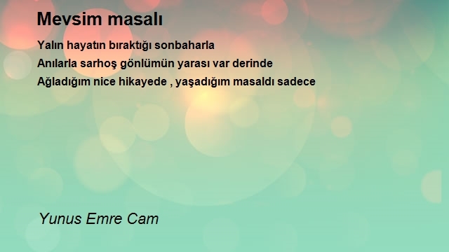 Yunus Emre Cam