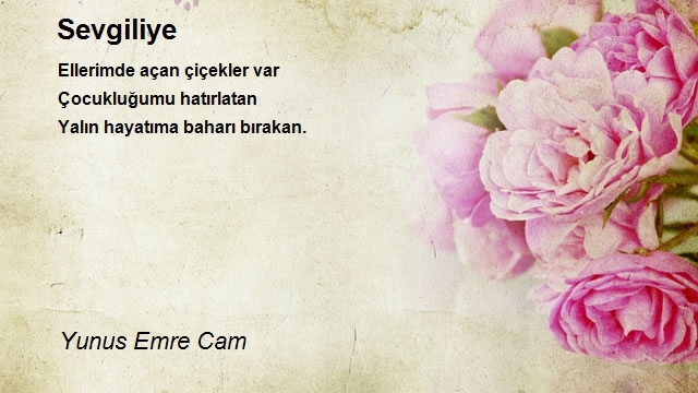 Yunus Emre Cam