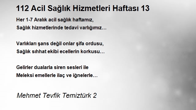 Mehmet Tevfik Temiztürk 2