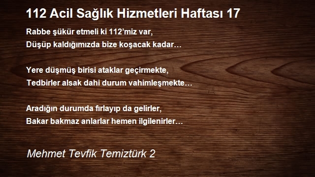 Mehmet Tevfik Temiztürk 2