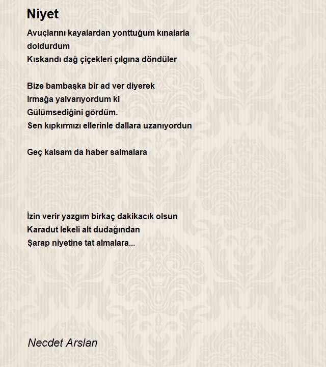 Necdet Arslan