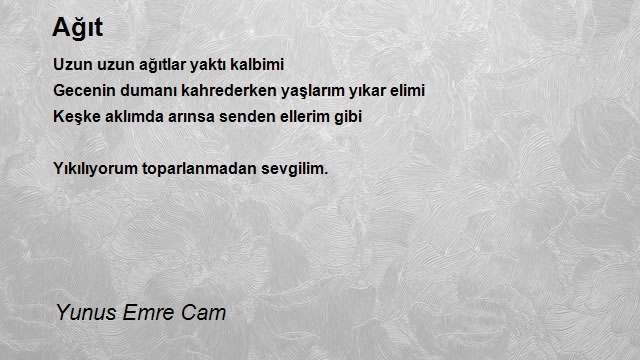 Yunus Emre Cam