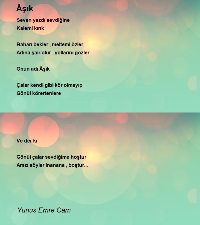 Yunus Emre Cam