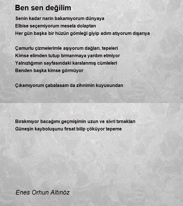 Enes Orhun Altınöz