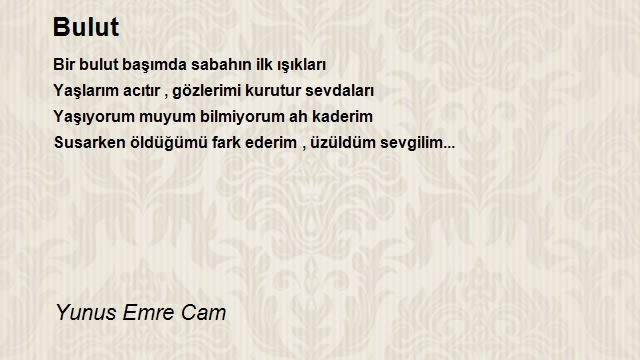 Yunus Emre Cam