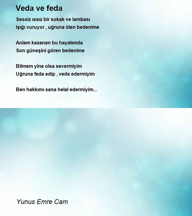 Yunus Emre Cam