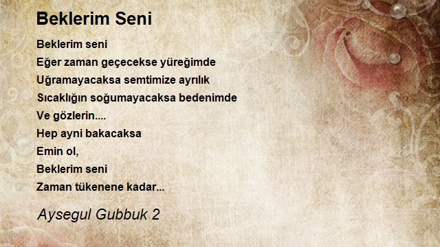 Aysegul Gubbuk 2