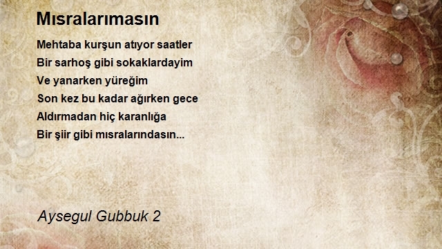 Aysegul Gubbuk 2