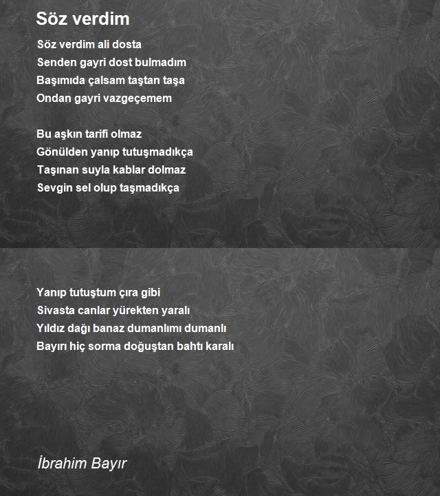 İbrahim Bayır