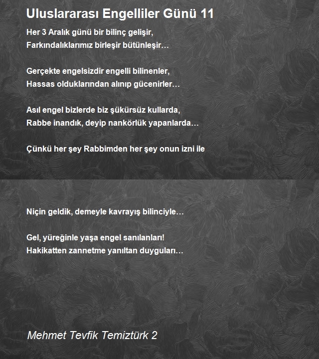 Mehmet Tevfik Temiztürk 2