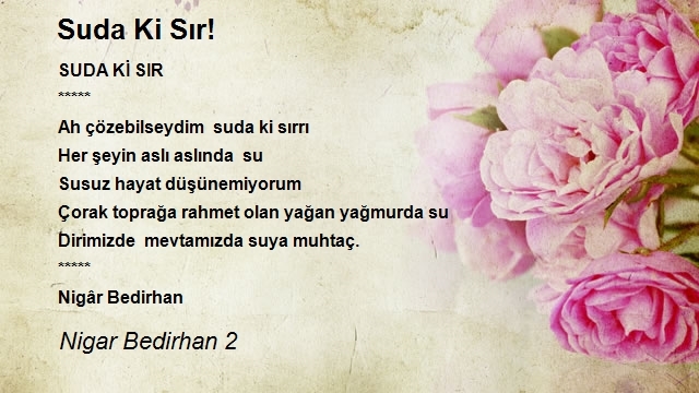 Nigar Bedirhan 2