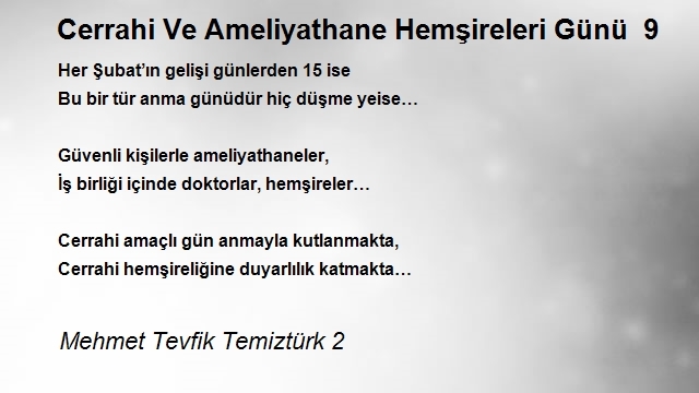 Mehmet Tevfik Temiztürk 2