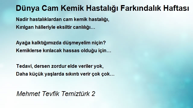 Mehmet Tevfik Temiztürk 2