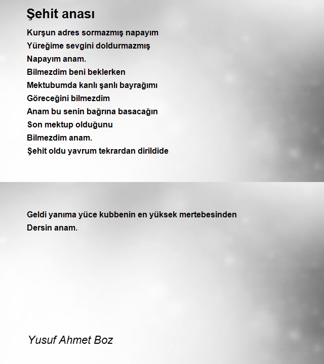 Yusuf Ahmet Boz