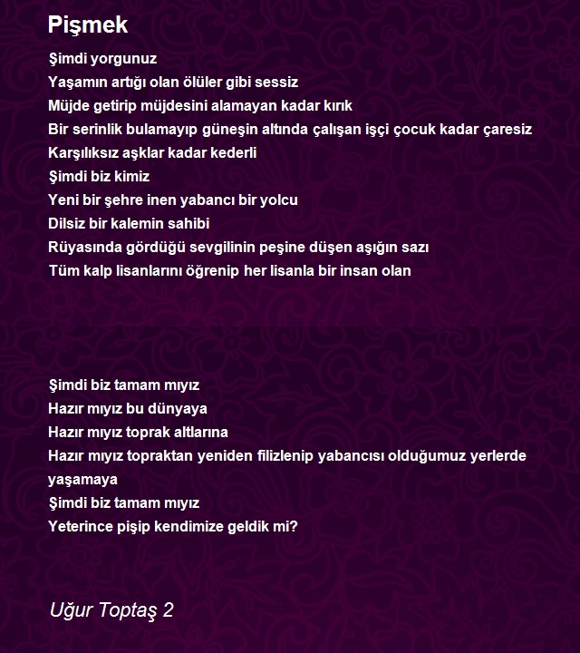 Uğur Toptaş 2