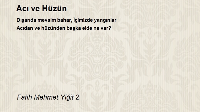 Fatih Mehmet Yiğit 2