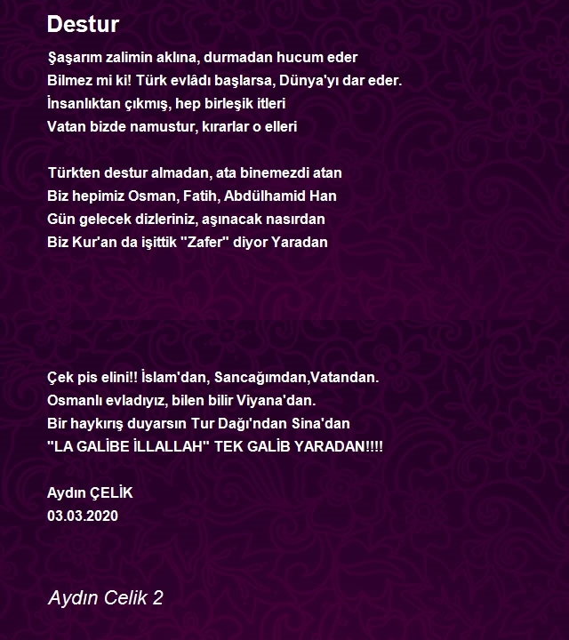 Aydın Celik 2