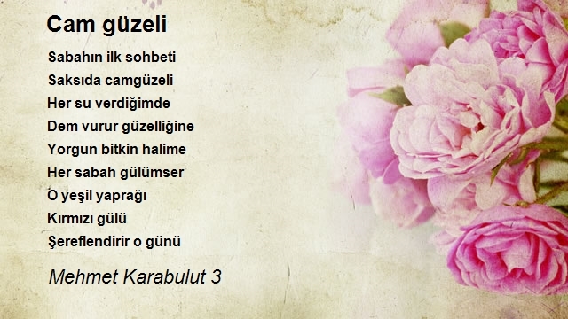 Mehmet Karabulut 3