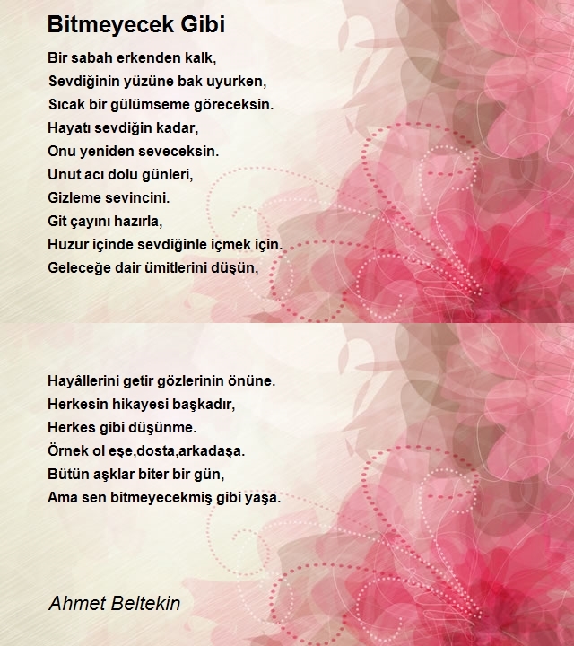 Ahmet Beltekin