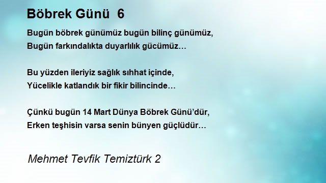 Mehmet Tevfik Temiztürk 2