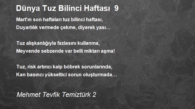 Mehmet Tevfik Temiztürk 2